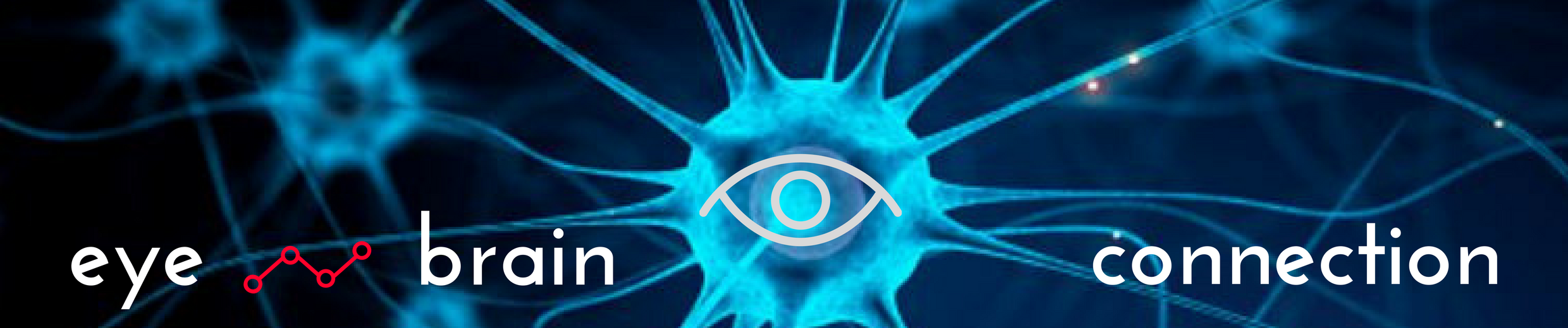 eye brain graphical banner